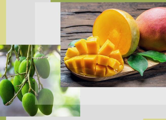 В чём польза манго и кому оно может навредить