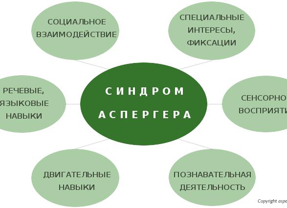 Что такое синдром Аспергера и как его вовремя заметить